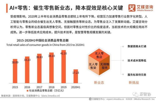 2020年中国新基建时代人工智能产业发展报告 理论与算法软件的协同演进